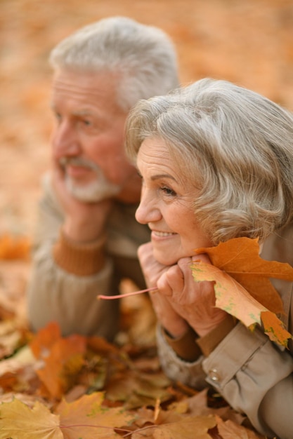 紅葉の上に横たわる幸せな年配のカップル