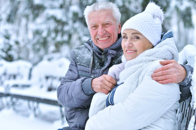 Happy senior couple posing in winter outdoors