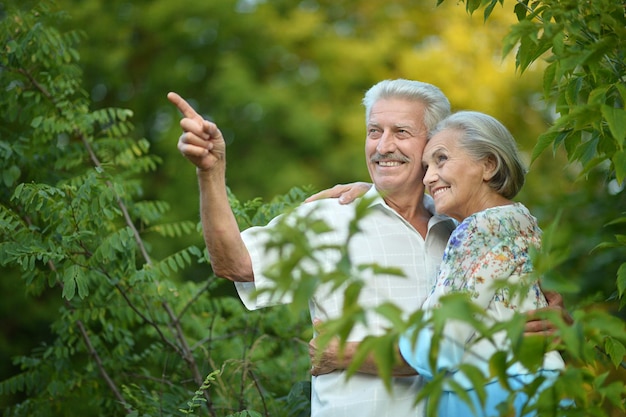 Happy senior couple relax in park,man pointing at something