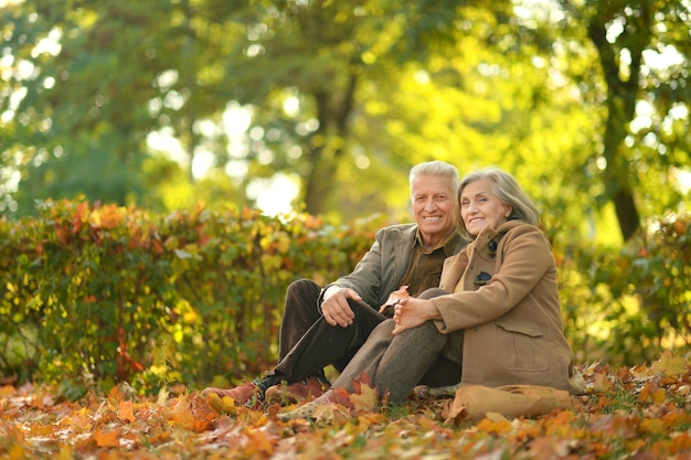 Felice coppia senior che si rilassa nel parco autunnale