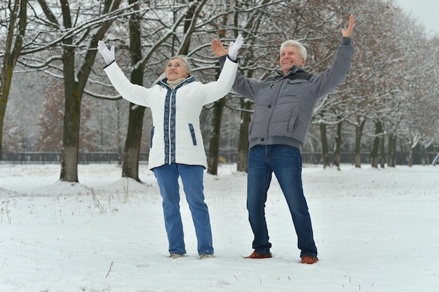 Felice coppia senior al parco invernale innevato con le mani in alto