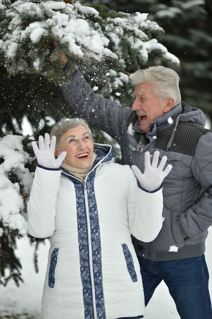 Счастливая пожилая пара в снежном зимнем парке