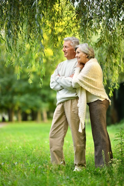 Happy senior couple standing in autumn park