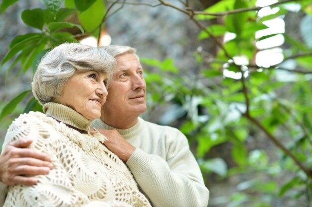 Happy senior couple standing in park