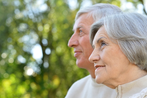 Felice coppia senior in piedi nel parco estivo