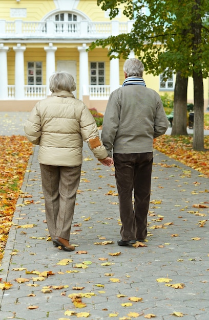秋の公園を歩いて幸せな年配のカップル