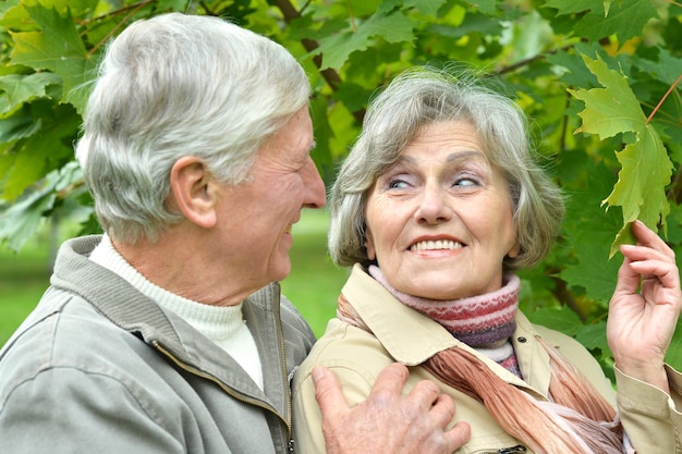 Happy senior couple walking in a park