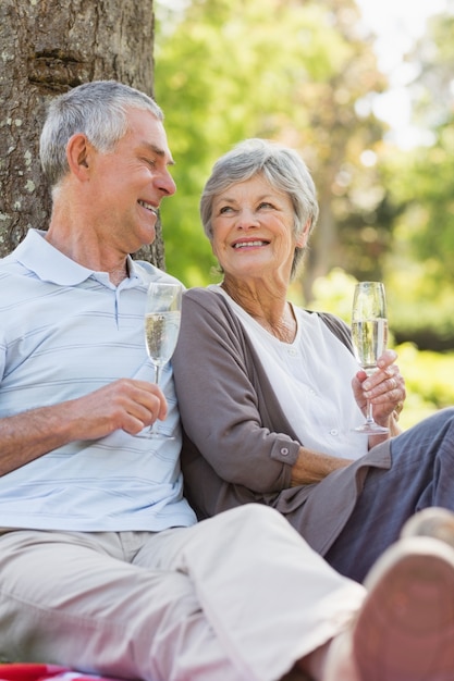 Happy senior couple with champagne at park