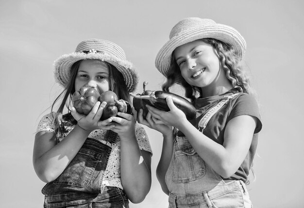 Счастливые сестры работают на семейной ферме Органические овощи Овощной рынок Натуральное витаминное питание Продажа концепции домашней еды Девочки милые дети в шляпах на ферме Дети собирают овощи