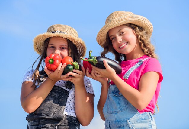 Happy sisters work at family farm. Organic vegetables. Vegetables market. Natural vitamin nutrition. Selling homegrown food concept. Girls cute children in hats farming. Kids gathering vegetables.