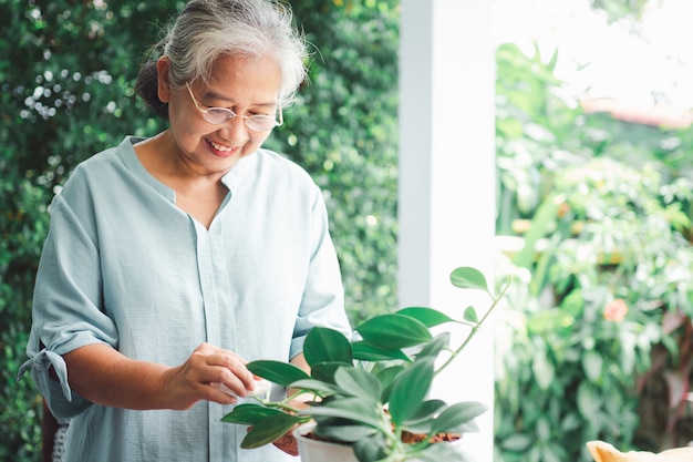 A happy and smiling Asian old elderly woman is planting for a hobby after retirement