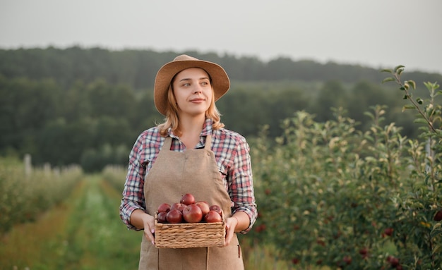 Happy smiling female farmer worker crop picking fresh ripe apples in orchard garden during autumn harvest Harvesting time