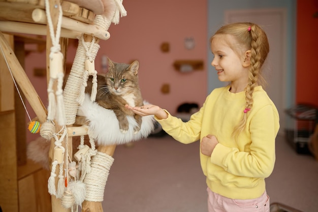 Happy smiling little girl child feeding cat in animal shelter. care of pets and charity home concept