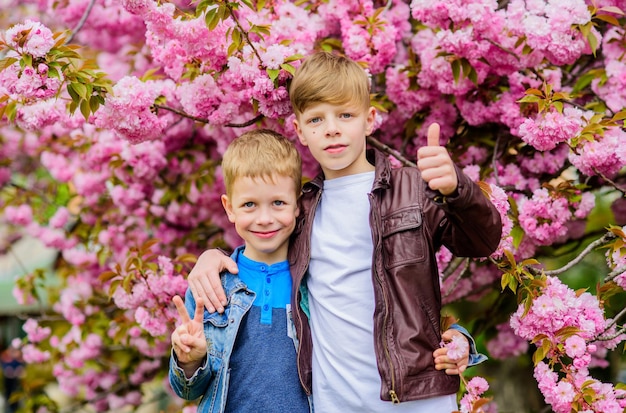 Счастливых весенних праздников Дети наслаждаются теплой весной Мальчики позируют возле сакуры Дети весенние розовые цветы сакуры на фоне дерева Концепция ботаники Братья наслаждаются цветением сакуры Концепция братства