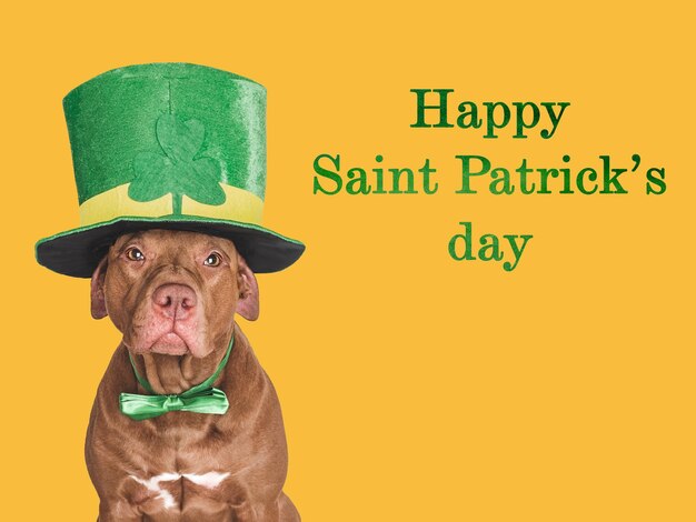 Happy St Patricks Day Lovable pretty puppy