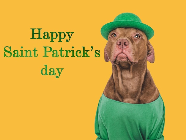 Happy St Patricks Day Lovable pretty puppy