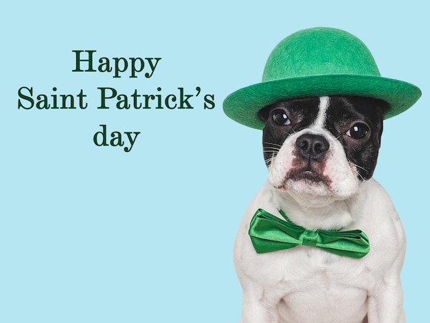 Happy St Patricks Day Lovable pretty puppy