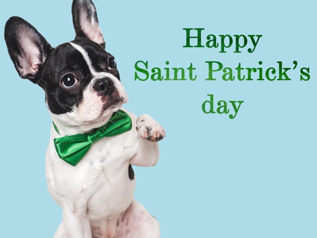 Happy St Patricks Day Lovable pretty puppy