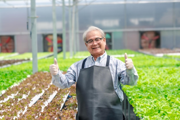 写真 温室水耕栽培農場で親指を立てて幸せな成功したシニアアジア人男性農家