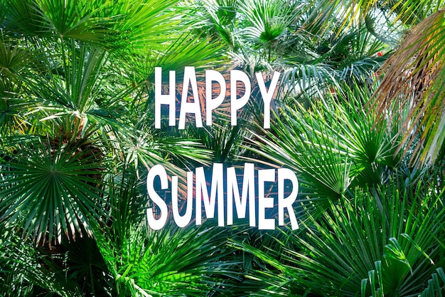 写真 happy summer stand out in bold white letters amidst the verdant foliage inviting warmth and seasonal excitement