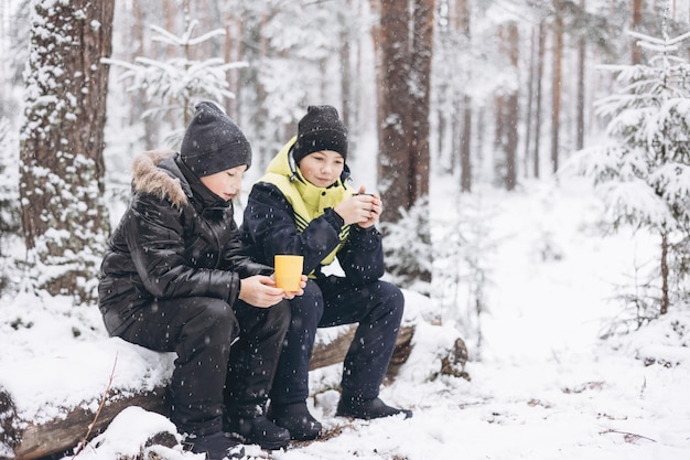 Happy teenage boys drinking tea from thermos and talking sitting together on log in winter snowy forest. Hot beverage in cold weather. Children having picnic in winter season outdoors. Local travel.