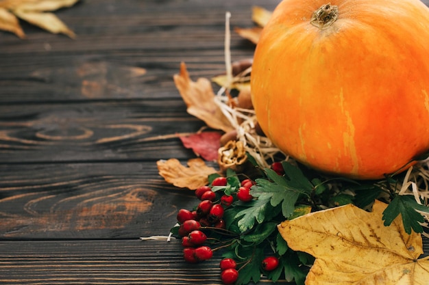 Happy Thanksgiving concept Mooie compositie van Pompoen herfstgroenten met kleurrijke bladerenacornsnuts bessen op houten rustieke tafelRuimte voor tekst Gezellig herfstseizoen