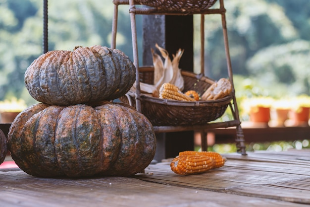 Happy thanksgiving concept. pumpkins and corn on wood