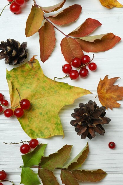 Happy Thanksgiving Day composition on white wooden table