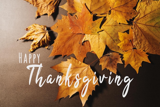 Happy thanksgiving day with maple leave and text