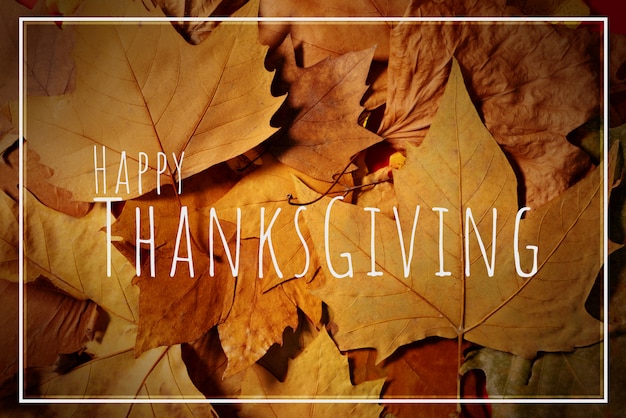 Happy Thanksgiving Day with Maple leave and text