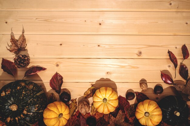 Happy thanksgiving day with pumpkin and nut on wooden