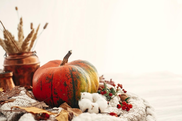 幸せな感謝祭のカボチャと秋の紅葉コットン シナモン アニス ドングリ ナッツ ホワイト ニット セーター Hygge ライフ スタイル居心地の良い秋の気分