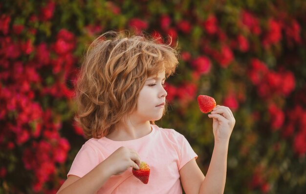 Happy toddler boy with fresh strawberries Kid eats fresh strawberry