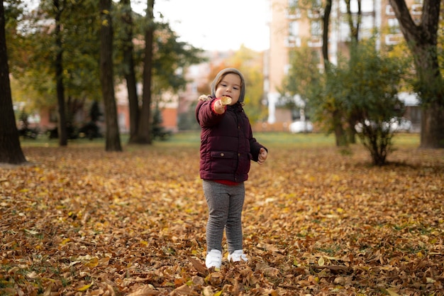 幸せな幼児の子供は晴れた秋の日に黄色の葉で遊ぶ。