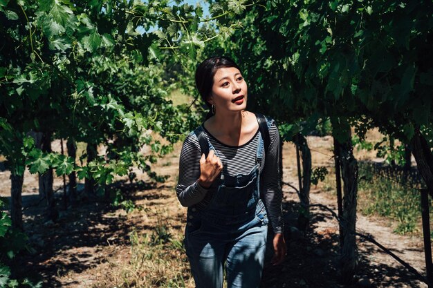 happy tourist curiously walking in sunny grape field looking around. young girl traveler cheerfully carrying backpack visit napa valley enjoy nature lifestyle in winery. usa vineyard in spring.