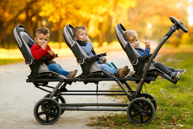 Счастливые тройни сидят в детской коляске и едят печенье в осеннем парке