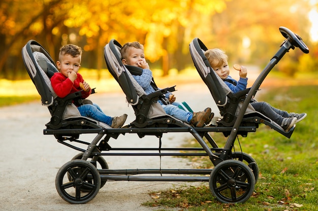 The happy triplets sit in a  baby stroller and eat cookies at autumn par