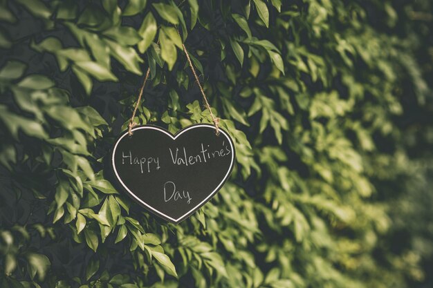 Happy Valentines Day Heart Sign hangt op Valentijnsdag aan een natuurlijke groene boom