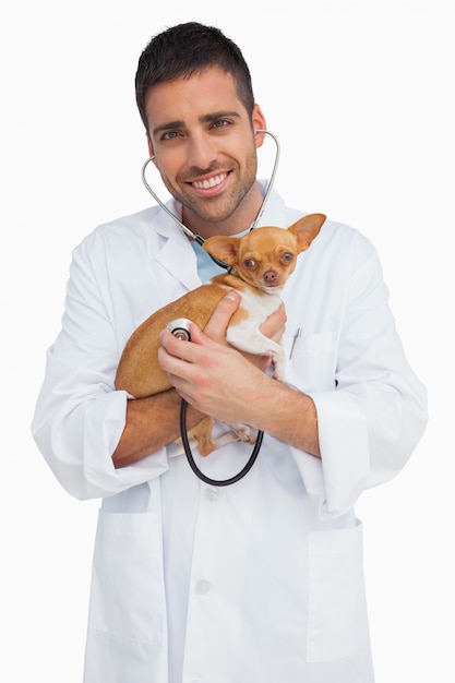 Photo happy vet checking dog with stethoscope