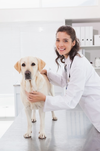 Happy vet examining a cute dog 