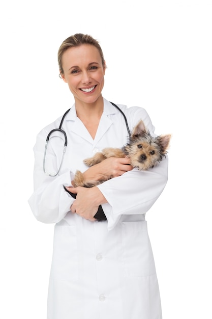 Photo happy vet holding yorkshire terrier puppy smiling at camera