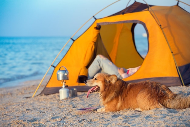 Happy weekend by the sea girl with a dog in a tent on the beach at dawn ukrainian landscape at the sea of azov ukraine