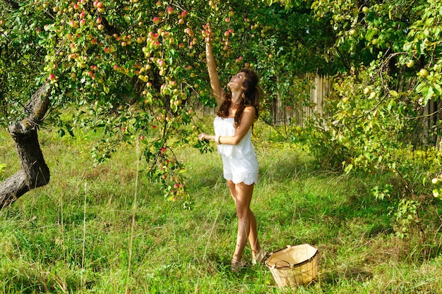 Happy woman in garden during a picking apples