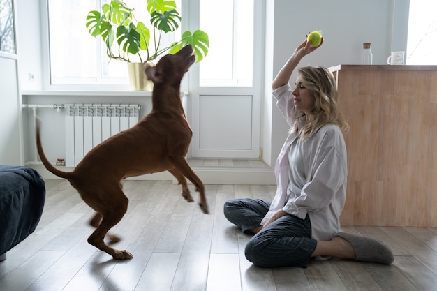 Фото Счастливая женщина-владелец со своей собакой vizsla играет с теннисным мячом дома, сидя на полу