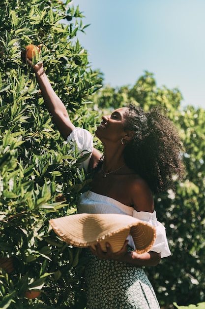 Happy woman picking orange fruit in garden