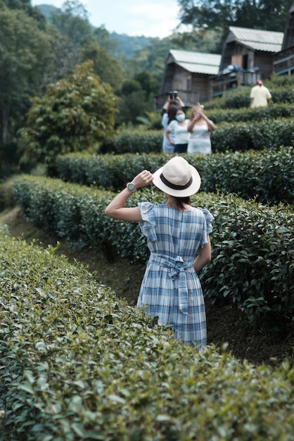 Happy woman tourist in blue dress and hat enjoy beautiful tea\
garden.traveler visiting in green natural hills in morning. travel,\
vacation, trip and journey concept