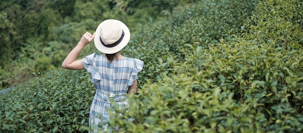 Turista felice in abito blu e cappello godersi il bellissimo giardino del tè. viaggiatore in visita nelle verdi colline naturali al mattino. concetto di viaggio, vacanza, viaggio e viaggio