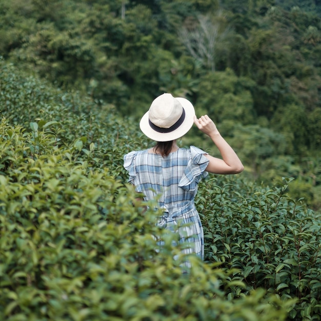 Happy woman tourist in blue dress and hat enjoy beautiful Tea garden.Traveler visiting in green natural hills in morning. travel, vacation, trip and journey concept