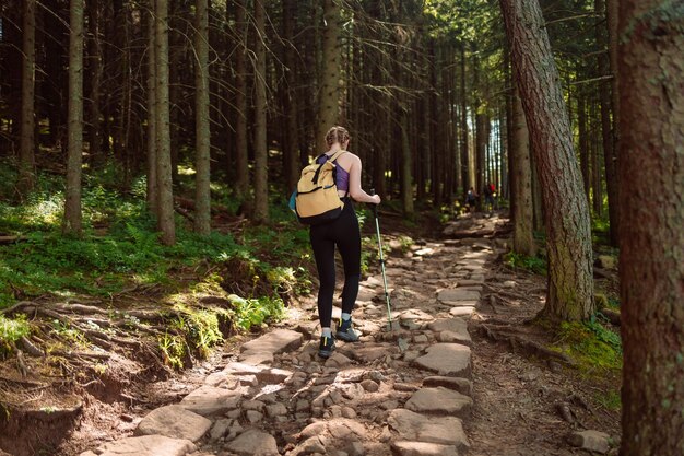 写真 美しい森の景色を楽しんでハイキングでリラックスしている幸せな女性旅行者