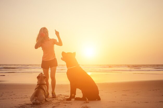 Happy woman with French Bulldog and Cone Corso walking and playing on india goa beach at sunset